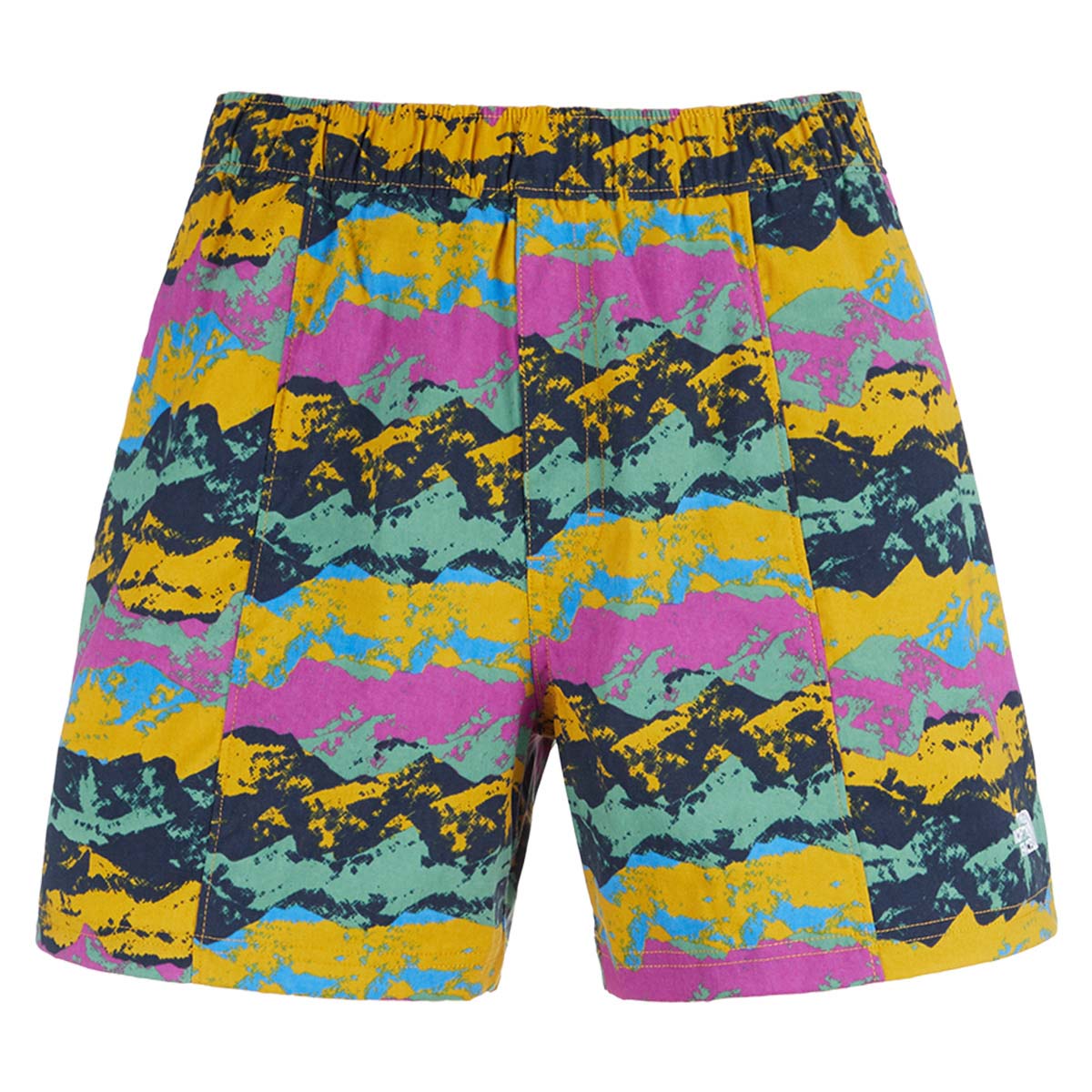 The North Face Men's Printed Class V Pull-On Shorts