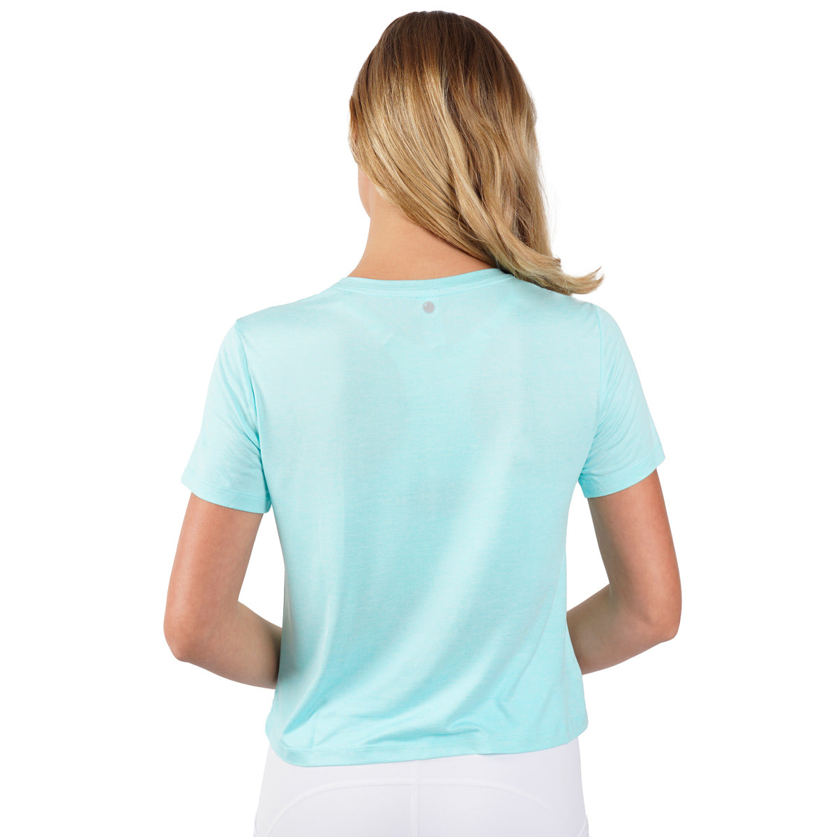 Heather Tanager Turquoise-